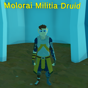 Molorai Militia Druid.png