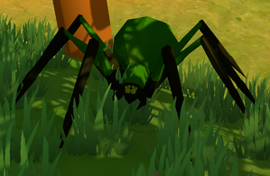 A Grass Spider.png