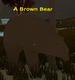 A Brown Bear