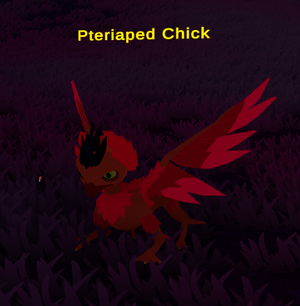 Pteriaped Chick.png