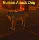 Molorai Attack Dog