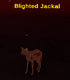 Blighted Jackal