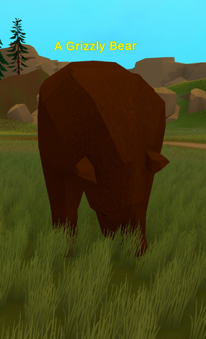 A Grizzly Bear.png