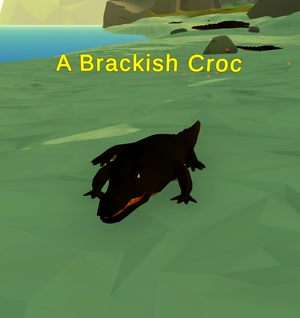 A Brackish Croc.png