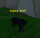 Alpha Wolf