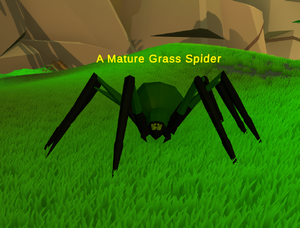 A Mature Grass Spider.png